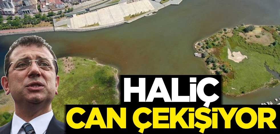 Haliç, İmamoğlu'nun elinde can çekişiyor