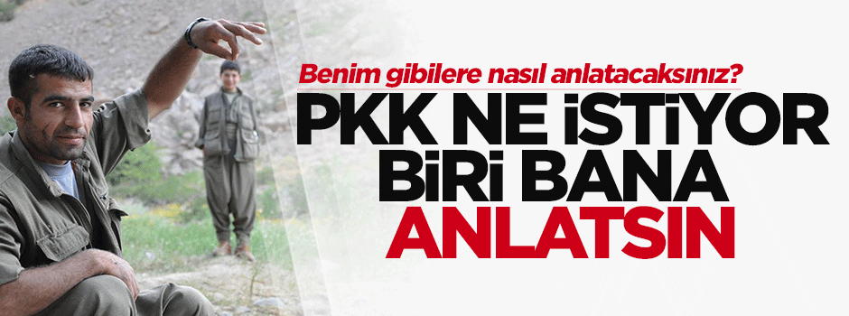 Halil Berktay: PKK ne istiyor biri bana anlatsın