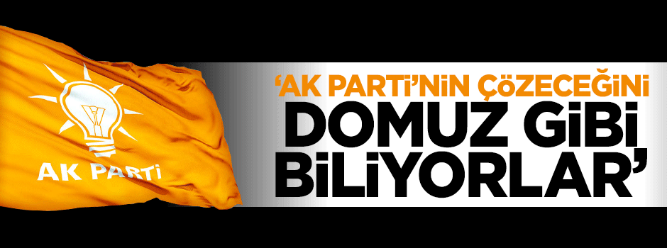 Halil Berktay: Sorunu Ak Parti'nin çözeceğini domuz gibi biliyorlar