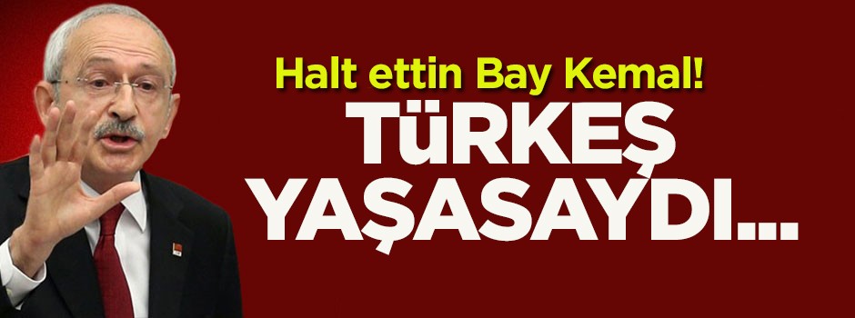 Halt ettin Bay Kemal! Türkeş yaşasaydı...