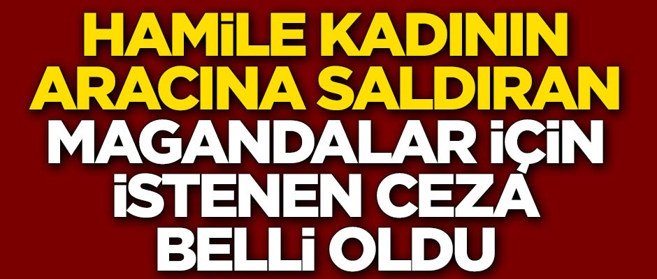 Hamile kadının aracına saldıran maganda kardeşler için istenen ceza belli oldu
