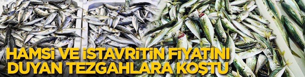 Hamsi ve istavritin fiyatını gören tezgahlara koştu