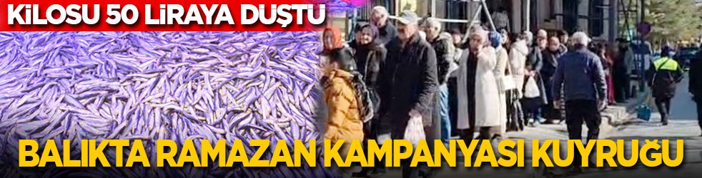 Hamsinin fiyatı 50 liraya düştü, metrelerce kuyruk oluştu