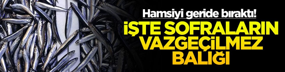 Hamsiyi geride bıraktı! İşte sofraların vazgeçilmez balığı