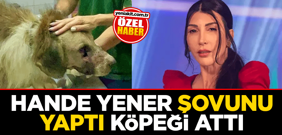 Hande Yener şovunu yaptı köpeği attı