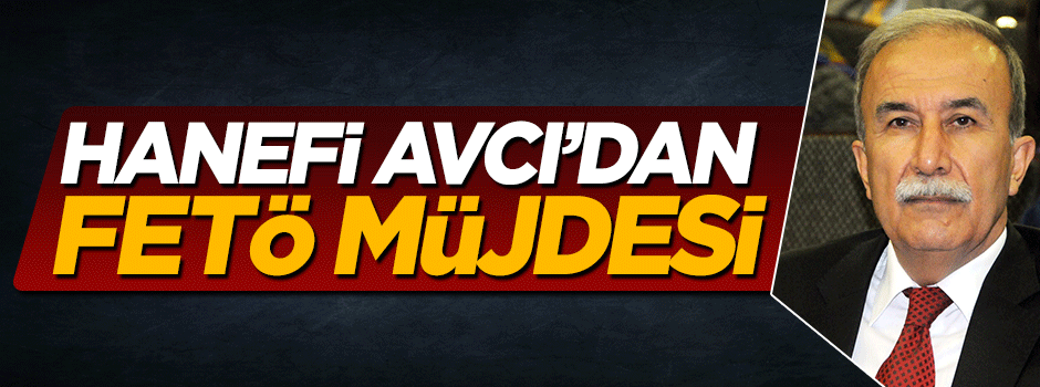 Hanefi Avcı'dan FETÖ müjdesi: Örgütün emniyetteki etkisi kırıldı