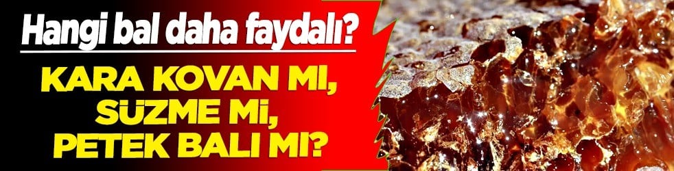 Hangi bal öksürük için şifa: Kara kovan mı, süzme mi, petek balı mı? Şifa için herkes peşinden koşuyor