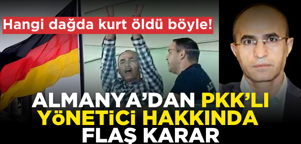 Hangi dağda kurt öldü böyle! Almanya’dan PKK’lı yönetici hakkında flaş karar