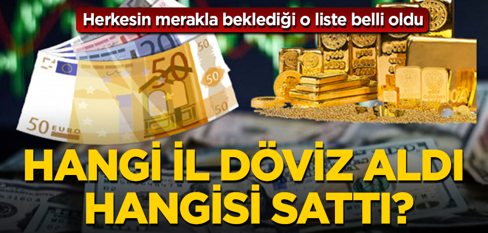 Hangi il döviz aldı, hangisi sattı? İşte o şehirler