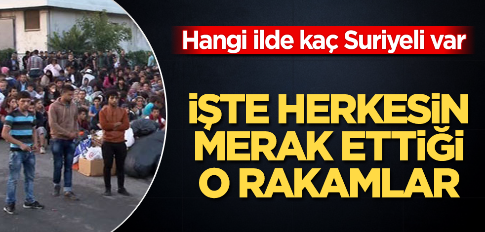 Hangi ilde kaç Suriyeli var! İşte merak edilen o rakamlar