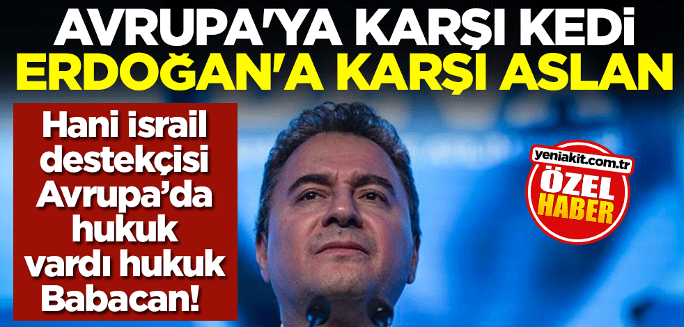 Hani İsrail destekçisi Avrupa’da hukuk vardı hukuk Babacan! Avrupa'ya karşı kedi Erdoğan'a karşı aslan