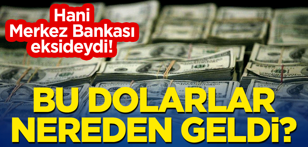 Hani Merkez Bankası eksideydi! Bu dolarlar nereden geldi?