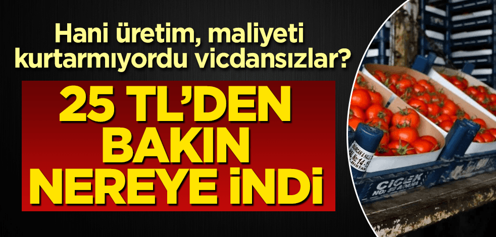 Hani üretim, maliyeti kurtarmıyordu? Domates 25 TL’den bakın kaça indi