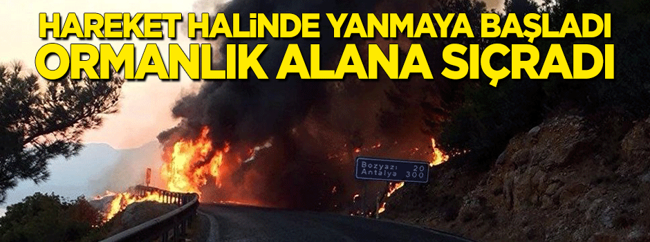 Hareket halindeki otobüste başlayan yangın ormanlık alana sıçradı