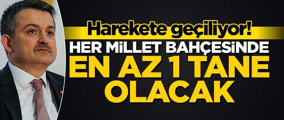 Harekete geçiliyor! Her millet bahçesinde en az 1 tane olacak