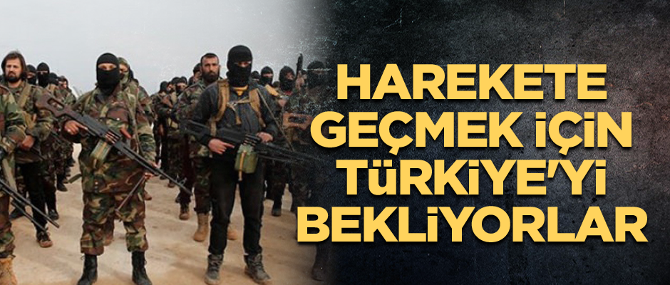 Harekete geçmek için Türkiye'yi bekliyorlar