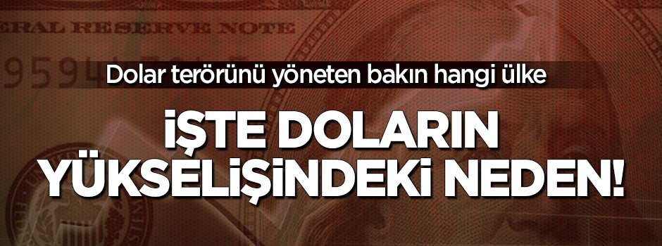 Harekete geçtiler! İşte Dolardaki yükselişin sebebi