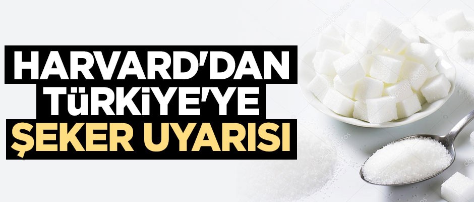 Harvard'dan Türkiye 'ye şeker uyarısı