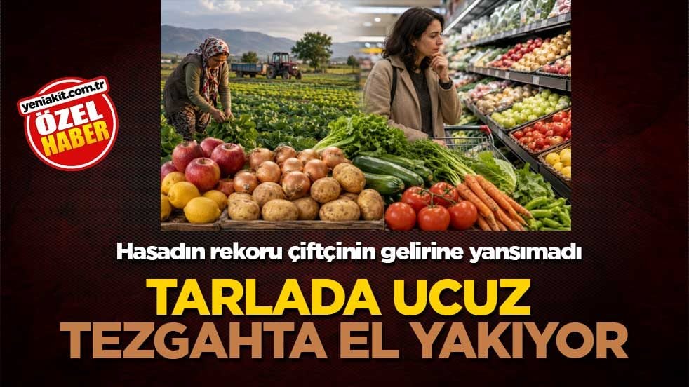 Hasadın rekoru çiftçinin gelirine yansımadı! Tarlada ucuz tezgahta el yakıyor