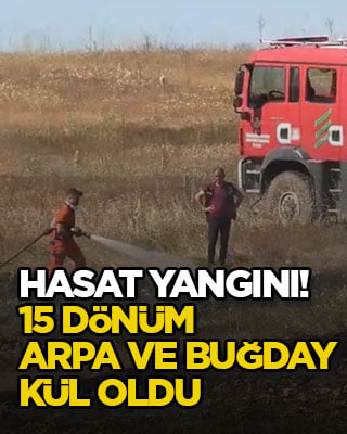 Hasat yangını! 15 dönüm arpa ve buğday kül oldu