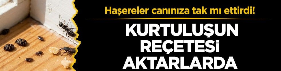 Haşereler canınıza tak mı ettirdi! Kurtuluşun reçetesi aktarlarda