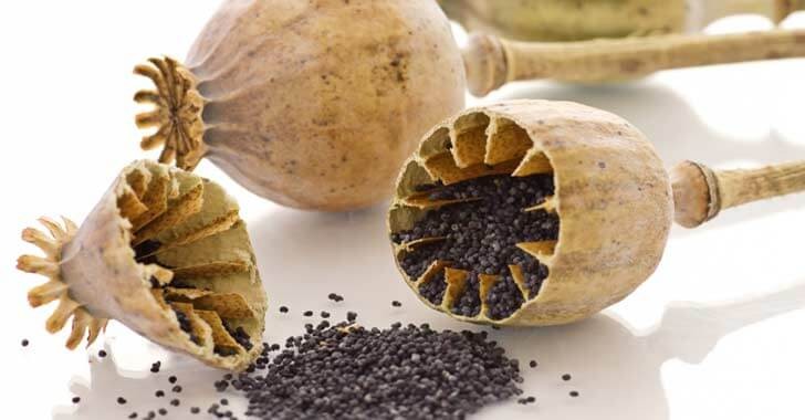 Haşhaş nedir? Faydaları nelerdir?