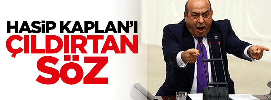Hasip Kaplan'ı çıldırtan söz