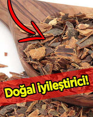 Barut ağacı kabuğu: Doğal iyileştirici!