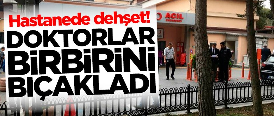 Hastanede dehşet! Doktorlar birbirini bıçakladı