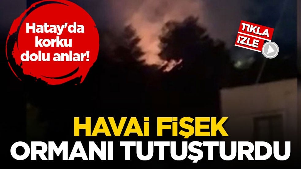Hatay'da korku dolu anlar! Havai fişek ormanı tutuşturdu