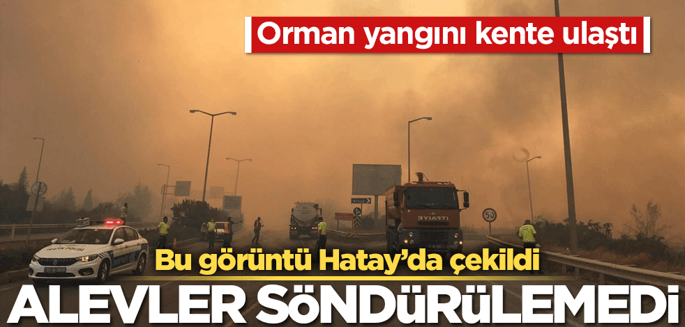 Hatay'da orman yangını! Yerleşim yerleri tehlike altında
