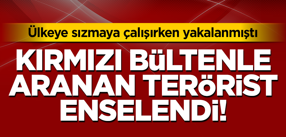 Hatay'da yakalanan DEAŞ mensubunun kırmızı bültenle arandığı ortaya çıktı