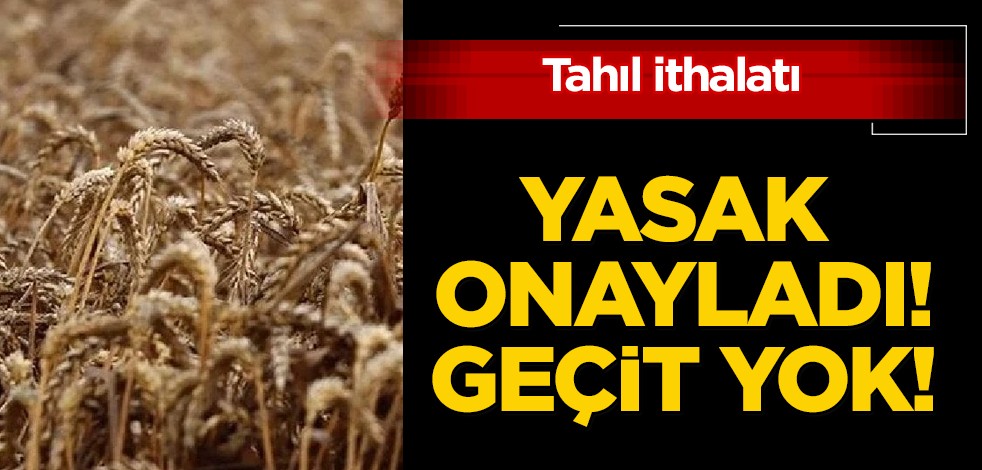 Hava yolu hariç geçiş yok: Şimdi böyle hizmet verecekler! Kazakistan tahıl yasağını onayladı! Sonuçlarına katlanacak