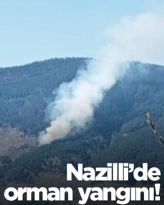 Havalar ısındı, ilk orman yangını haberi geldi!