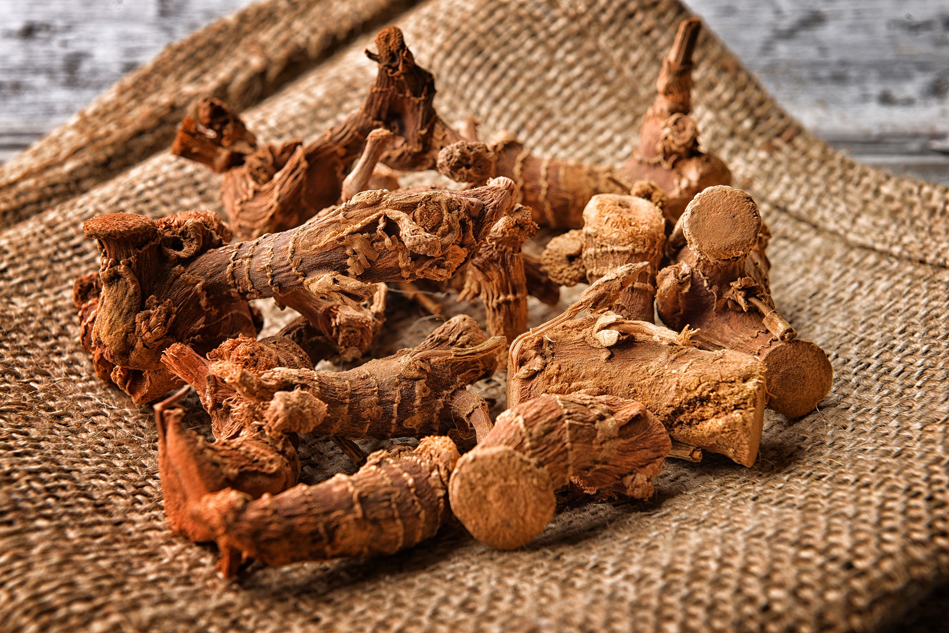 Havlıcan nedir? Havlıcanın faydaları nelerdir?