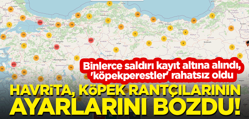 Havrita, köpek rantçılarının ayarlarını bozdu! Binlerce saldırı kayıt altına alındı, 'köpekperestler' rahatsız oldu