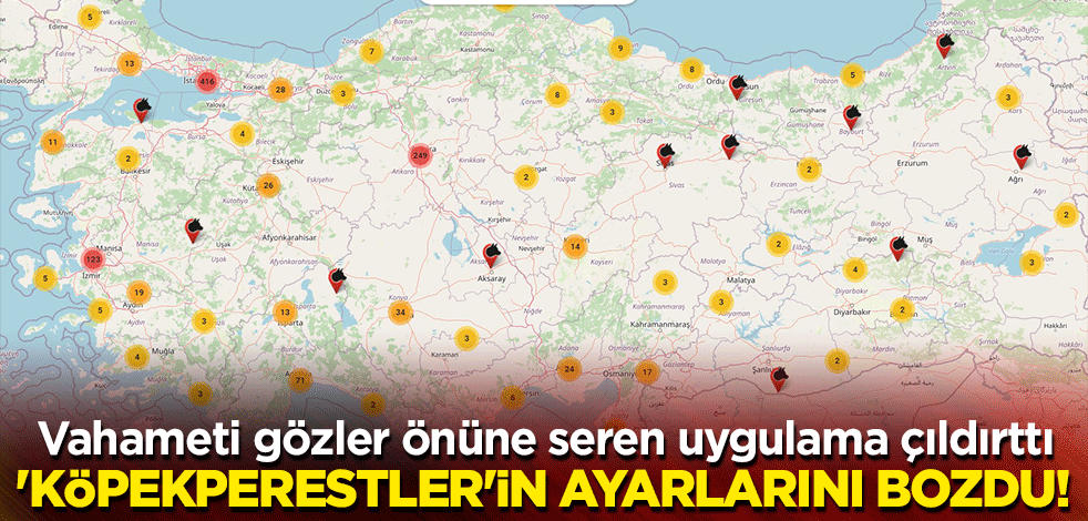 Havrita, 'köpekperestler'in ayarlarını bozdu! Vahameti gözler önüne seren uygulama çıldırttı