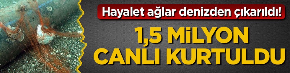Hayalet ağlar denizden çıkarıldı! 1,5 milyon canlı kurtuldu