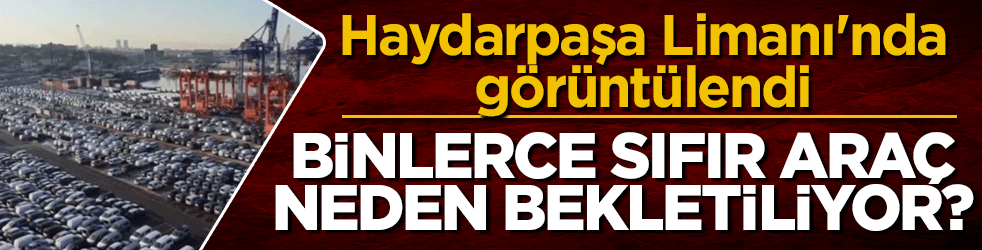 Haydarpaşa Limanı'nda iğne atsan yere düşmüyor! Binlerce sıfır araç neden bekletiliyor?