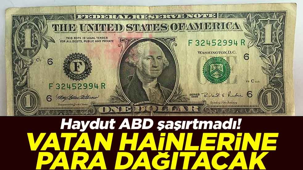 Haydut ABD şaşırtmadı! Vatan hainlerine para dağıtacak