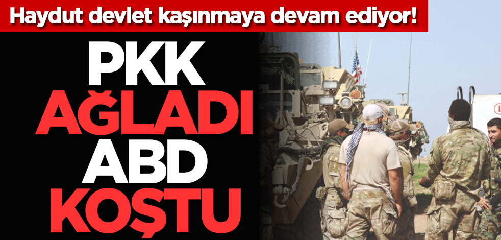 Haydut devlet kaşınmaya devam ediyor! PKK ağladı ABD koştu!