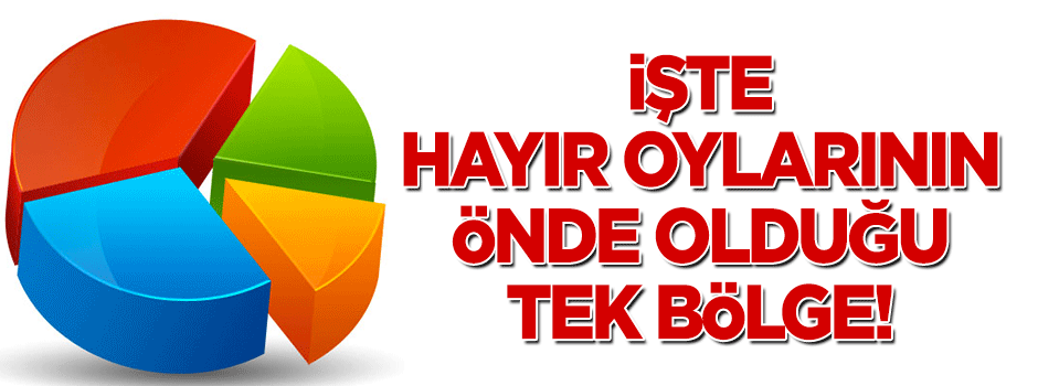 'Hayır' oylarının önde olduğu tek bölge!
