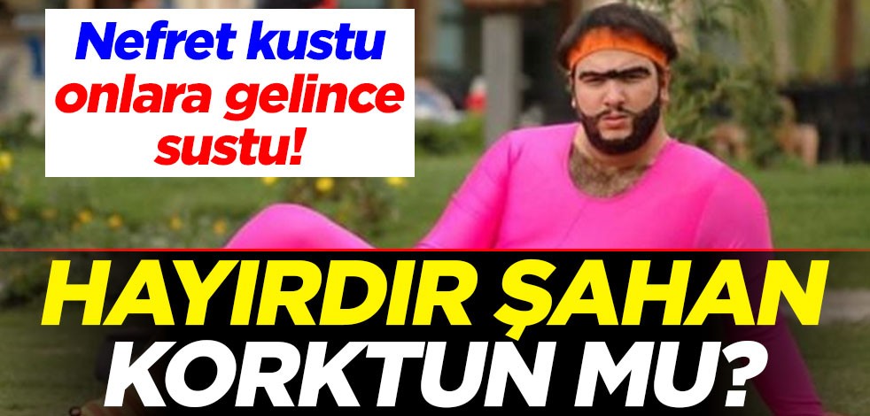 Hayırdır Şahan korktun mu? Nefret kustu, onlara gelince sustu!