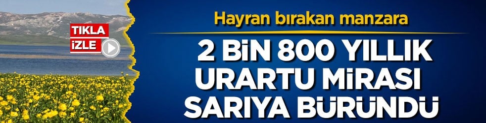 Hayran bırakan manzara! 2 bin 800 yıllık Urartu mirası sarıya büründü
