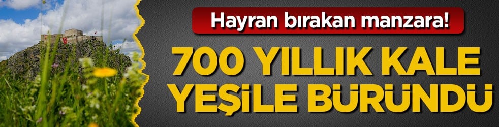 Hayran bırakan manzara! 700 yıllık kale yeşile büründü