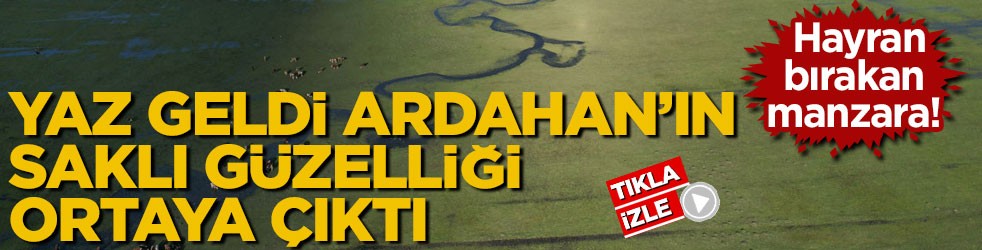 Hayran bırakan manzara! Yaz geldi, Ardahan’ın saklı güzelliği ortaya çıktı