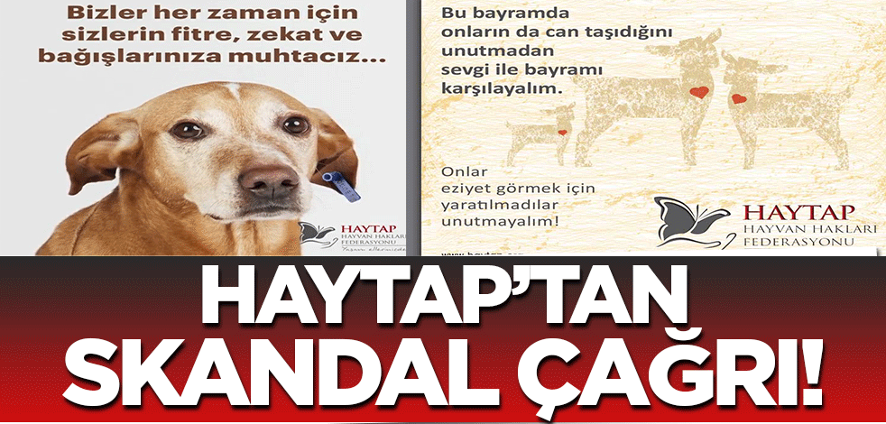 HAYTAP'tan skandal çağrı! Köpekler için fitre ve zekat istediler