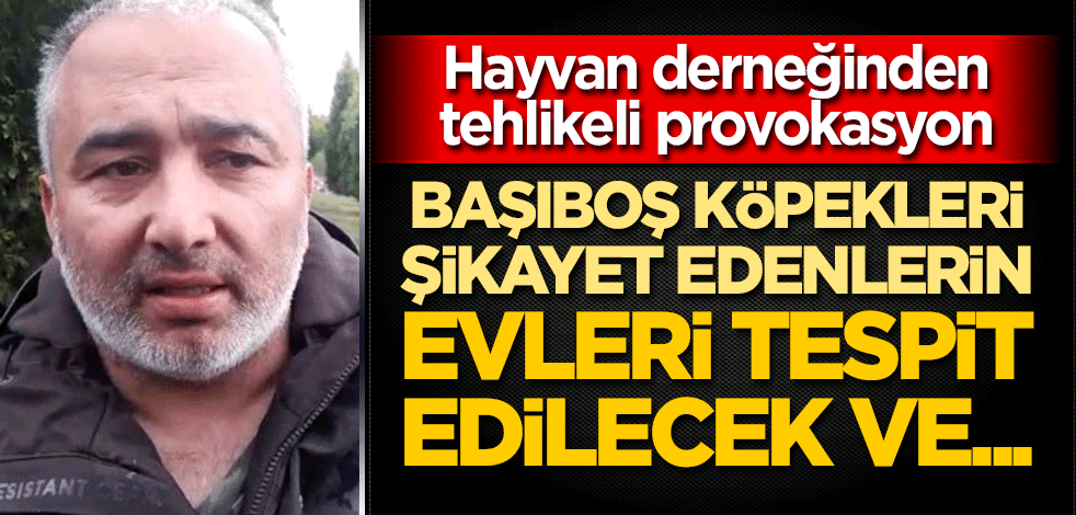 Hayvan derneğinden tehlikeli provokasyon: Başıboş köpekleri şikayet edenlerin evleri tespit edilecek ve...