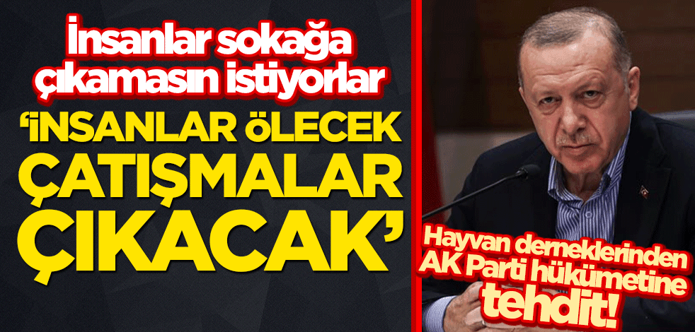 Hayvan derneklerinden AK Parti hükümetine tehdit! "İnsanlar ölecek, çatışmalar ve kaos çıkacak"