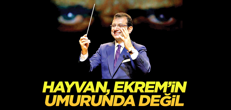 Hayvan, Ekrem’in umurunda değil!